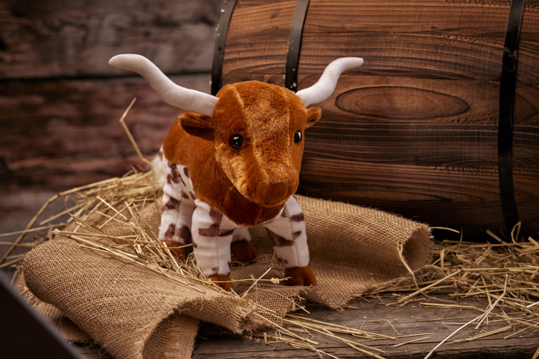 souvenirs-and-gifts-high-chaparral