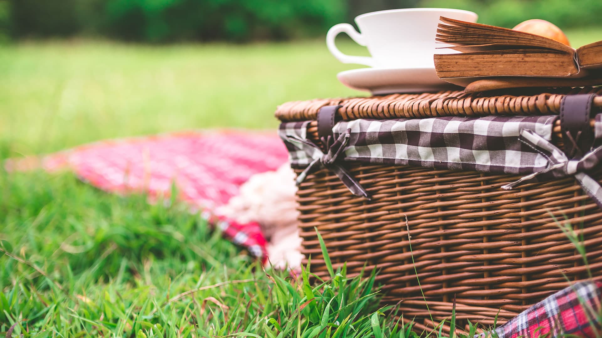 Picknick High Chaparral